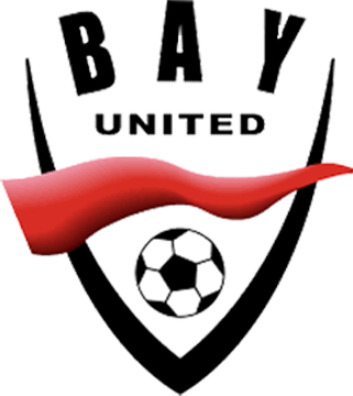 Fifa 2009 Project